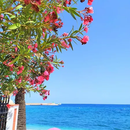 Arenal Διαμέρισμα